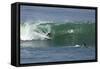 Surfing VIII-Lee Peterson-Framed Stretched Canvas