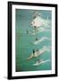 Surfing with Longboards-null-Framed Art Print