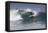 Surfing X-Lee Peterson-Framed Stretched Canvas