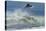 Surfing XI-Lee Peterson-Stretched Canvas