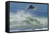 Surfing XI-Lee Peterson-Framed Stretched Canvas