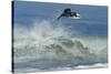 Surfing XI-Lee Peterson-Stretched Canvas