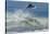 Surfing XI-Lee Peterson-Stretched Canvas