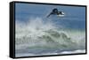 Surfing XI-Lee Peterson-Framed Stretched Canvas