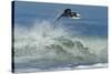 Surfing XI-Lee Peterson-Stretched Canvas