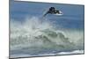 Surfing XI-Lee Peterson-Mounted Photographic Print