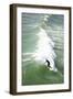 Surfing-Karyn Millet-Framed Photographic Print