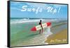 Surfs Up, San Diego, California-null-Framed Stretched Canvas