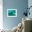 Surgeonfish Acanthuridae-AUSTIN REX LOBATON-Framed Photographic Print displayed on a wall