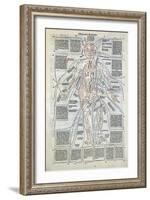 Surgical Diagram of the Anatomy of Man, from Fasciculus Medicinae by Johannes de Ketham-null-Framed Giclee Print