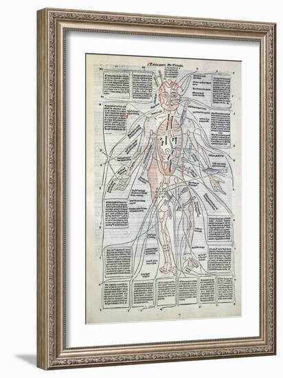 Surgical Diagram of the Anatomy of Man, from Fasciculus Medicinae by Johannes de Ketham-null-Framed Giclee Print