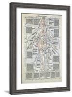 Surgical Diagram of the Anatomy of Man, from Fasciculus Medicinae by Johannes de Ketham-null-Framed Giclee Print