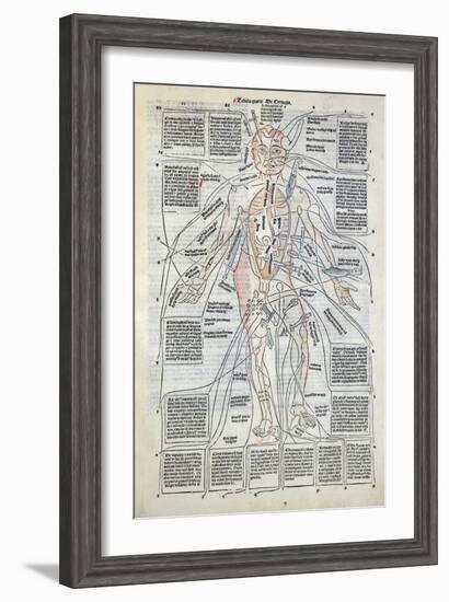 Surgical Diagram of the Anatomy of Man, from Fasciculus Medicinae by Johannes de Ketham-null-Framed Giclee Print