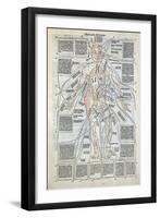 Surgical Diagram of the Anatomy of Man, from Fasciculus Medicinae by Johannes de Ketham-null-Framed Giclee Print