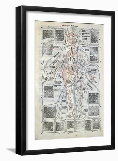 Surgical Diagram of the Anatomy of Man, from Fasciculus Medicinae by Johannes de Ketham-null-Framed Giclee Print