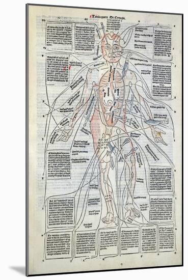 Surgical Diagram of the Anatomy of Man, from Fasciculus Medicinae by Johannes de Ketham-null-Mounted Giclee Print