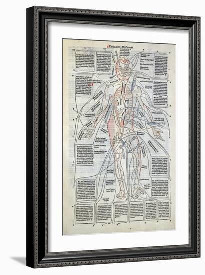 Surgical Diagram of the Anatomy of Man, from Fasciculus Medicinae by Johannes de Ketham-null-Framed Giclee Print