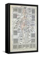 Surgical Diagram of the Anatomy of Man, from Fasciculus Medicinae by Johannes de Ketham-null-Framed Stretched Canvas