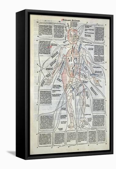 Surgical Diagram of the Anatomy of Man, from Fasciculus Medicinae by Johannes de Ketham-null-Framed Stretched Canvas