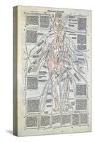 Surgical Diagram of the Anatomy of Man, from Fasciculus Medicinae by Johannes de Ketham-null-Stretched Canvas