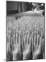 Surgical Gloves Made in Massillon For Shipment to Vietnam-Bill Ray-Mounted Photographic Print