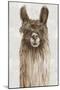 Suri Alpaca I-Eva Watts-Mounted Art Print