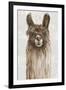 Suri Alpaca I-Eva Watts-Framed Art Print