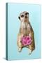 Suricate Holding a Bunch of Roses-null-Stretched Canvas