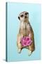 Suricate Holding a Bunch of Roses-null-Stretched Canvas