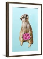 Suricate Holding a Bunch of Roses-null-Framed Photographic Print