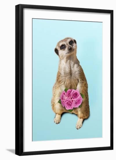 Suricate Holding a Bunch of Roses-null-Framed Photographic Print