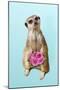 Suricate Holding a Bunch of Roses-null-Mounted Photographic Print