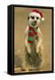 Suricate on Hind Legs Wearing Christmas Hat and Scarf-null-Framed Stretched Canvas