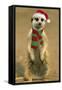 Suricate on Hind Legs Wearing Christmas Hat and Scarf-null-Framed Stretched Canvas