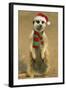 Suricate on Hind Legs Wearing Christmas Hat and Scarf-null-Framed Photographic Print