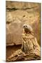 Suricate-duallogic-Mounted Photographic Print