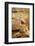 Suricate-duallogic-Framed Photographic Print