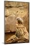 Suricate-duallogic-Mounted Photographic Print