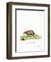 Surikate-null-Framed Premium Giclee Print