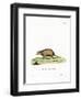 Surikate-null-Framed Premium Giclee Print