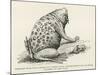 Surinam Toad-null-Mounted Giclee Print