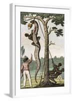 Suriname, Captain Stedman Ordering to Flay the Aroma Snake-null-Framed Giclee Print