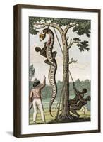 Suriname, Captain Stedman Ordering to Flay the Aroma Snake-null-Framed Giclee Print