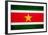 Suriname Flag Design with Wood Patterning - Flags of the World Series-Philippe Hugonnard-Framed Art Print