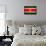 Suriname Flag Design with Wood Patterning - Flags of the World Series-Philippe Hugonnard-Framed Stretched Canvas displayed on a wall