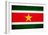 Suriname Flag Design with Wood Patterning - Flags of the World Series-Philippe Hugonnard-Framed Art Print