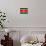 Suriname Flag Design with Wood Patterning - Flags of the World Series-Philippe Hugonnard-Stretched Canvas displayed on a wall