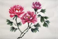 Watercolor Painting Of Pink Lotus-Surovtseva-Art Print