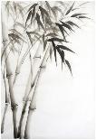 Watercolor Painting Of Bamboo-Surovtseva-Poster