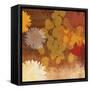 Surprise I-Andrew Michaels-Framed Stretched Canvas